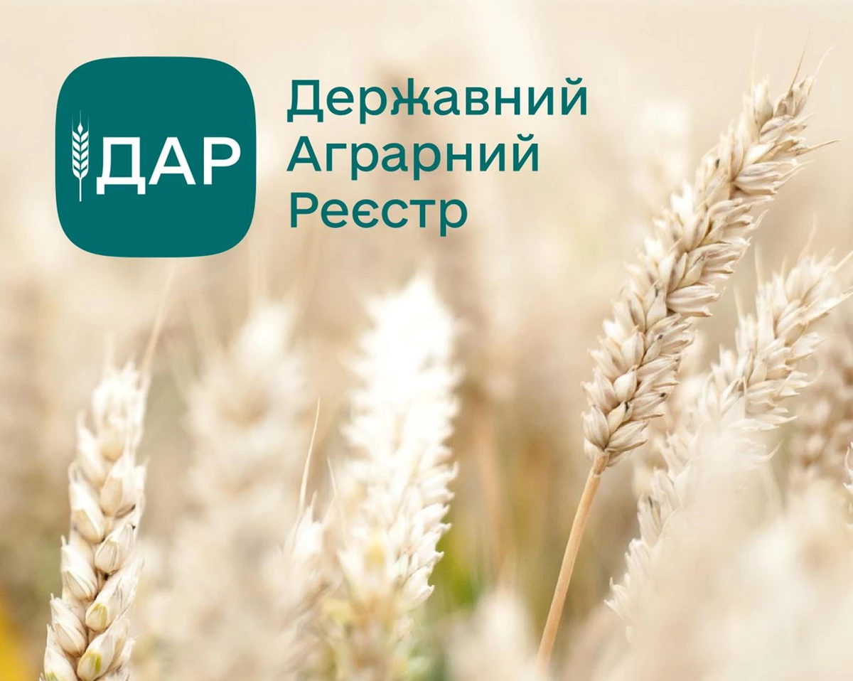 Whatsapp Image 2022 08 12 At 12.10.29 0
