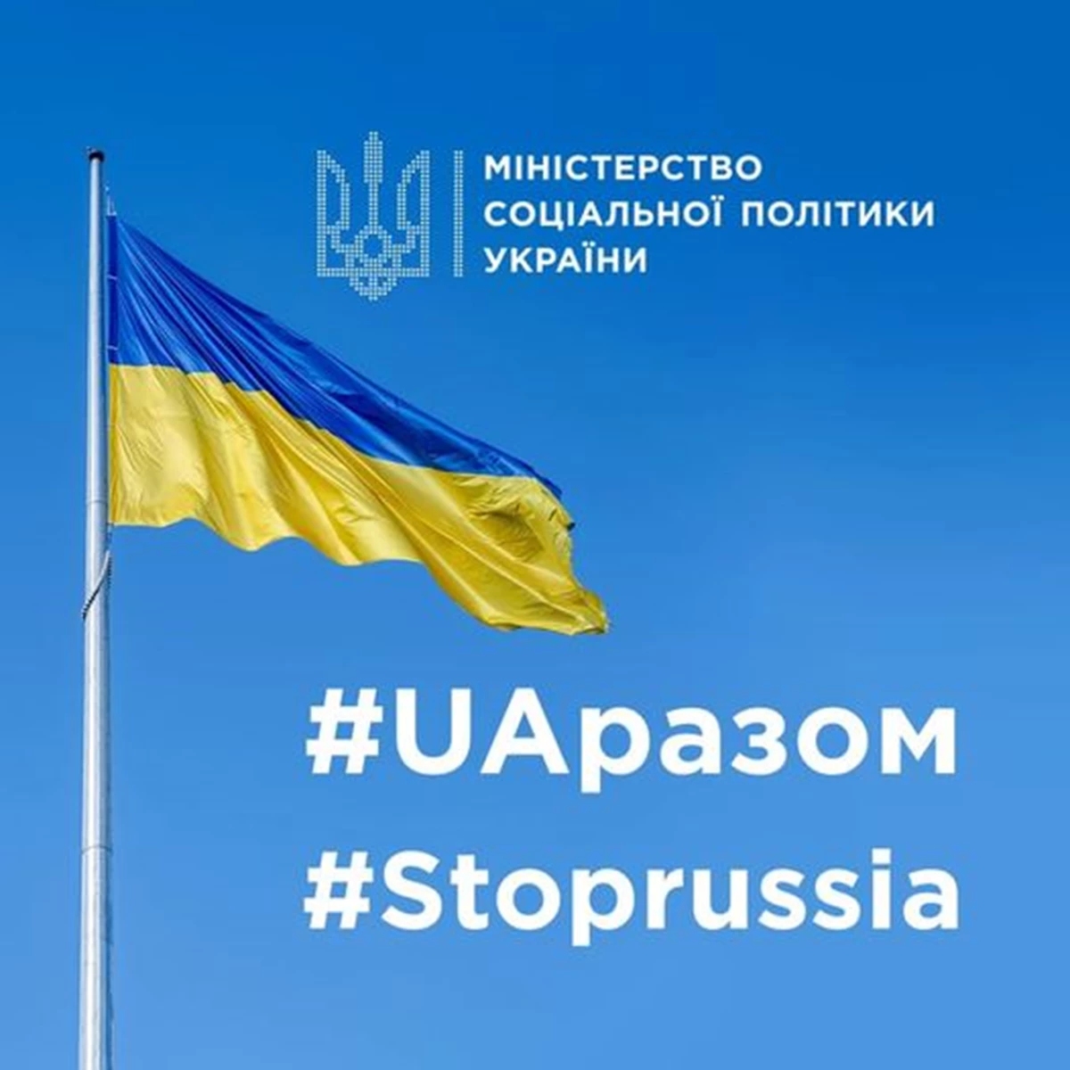 274855152 325437942955547 6835116254231629887 N