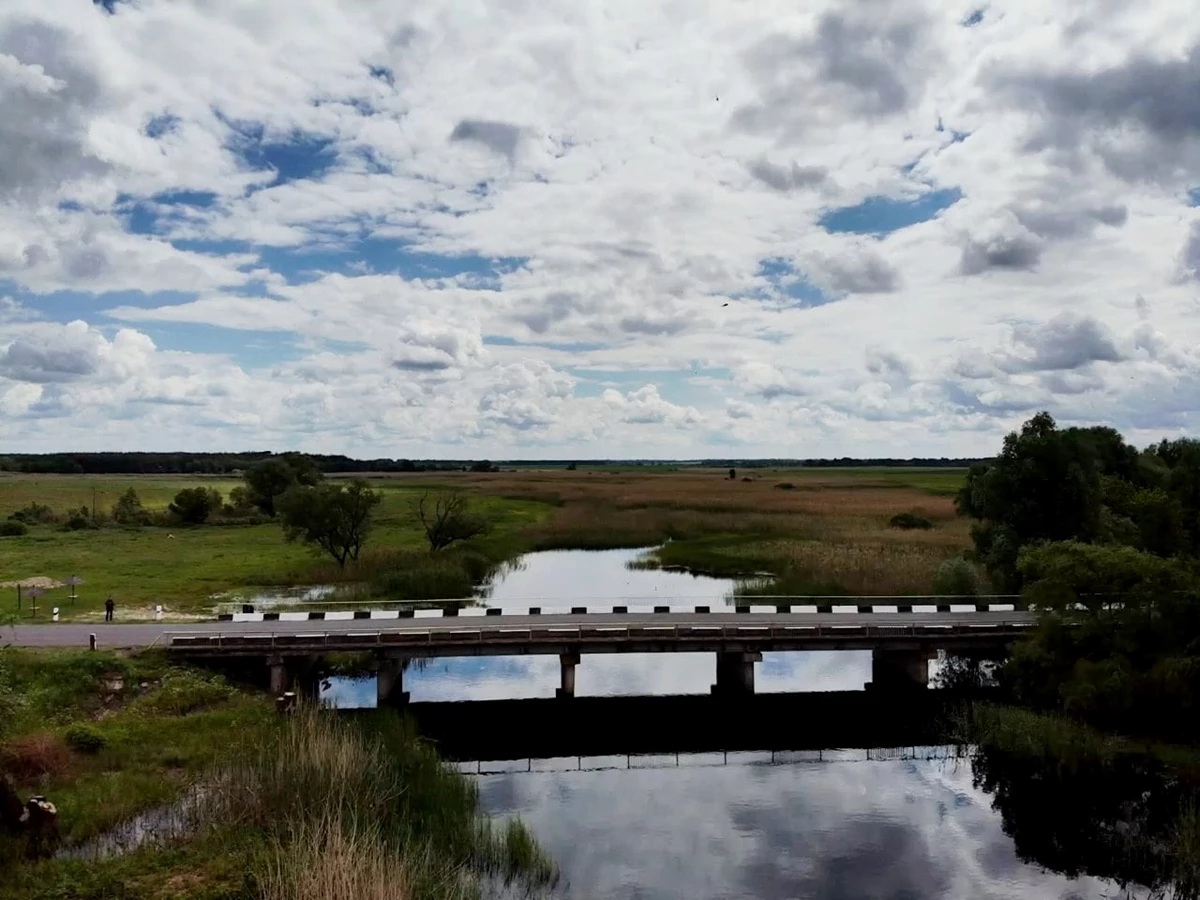 270362561 1429556620796491 5462918978877970523 N