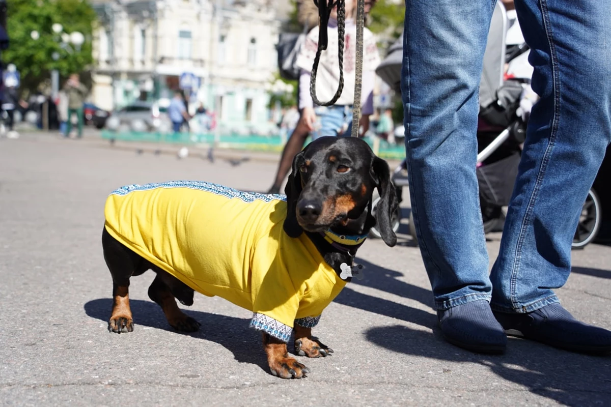 Photo 2022 05 19 16 55 41