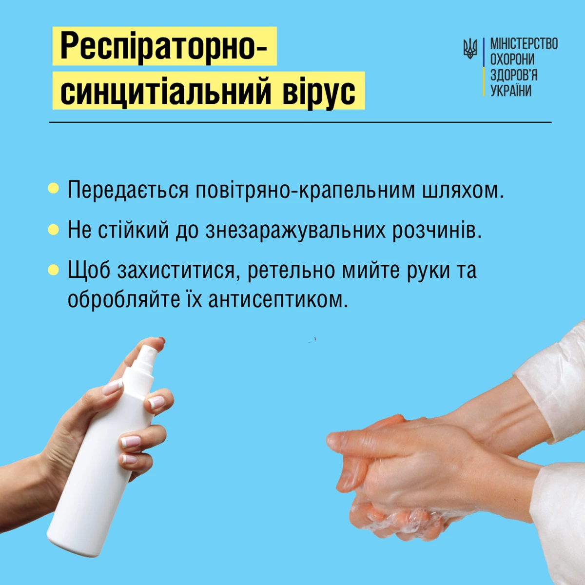 Moz Respiratorno Sincitialniy Virus 03