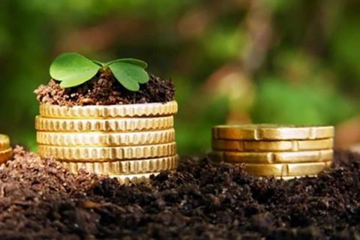 Uryad Prezentuvav Poryadok Otrymannya Agrariyamy Derzhpidtrymky Na 2022 Rik