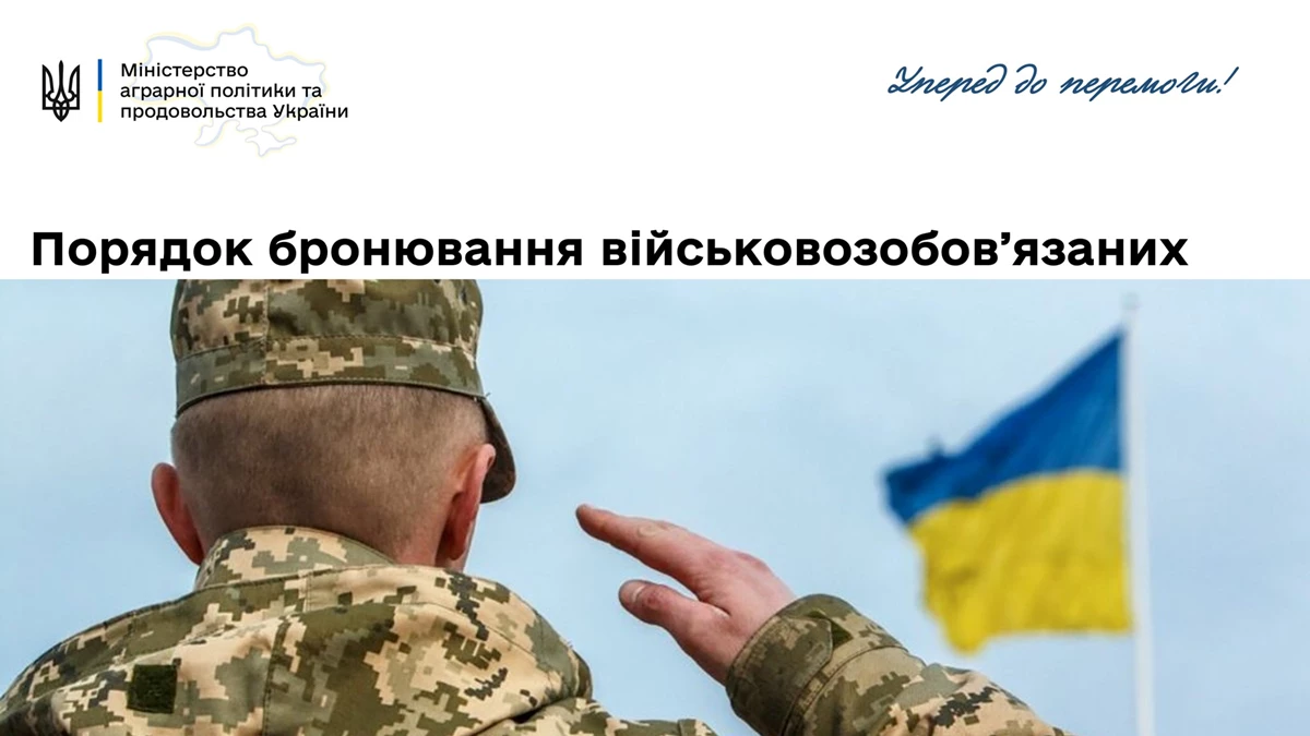 278113482 288802153435408 6431791512211141215 N