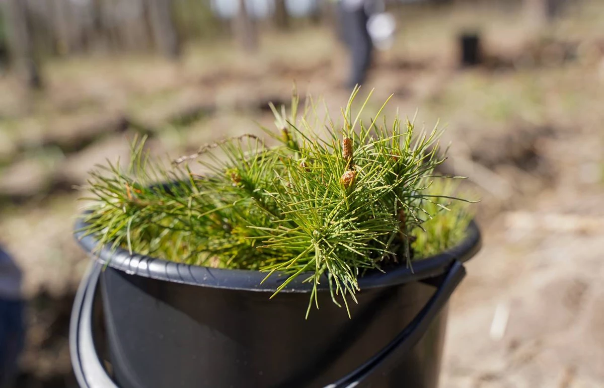 Photo 2022 04 15 16 20 12 2 (1)