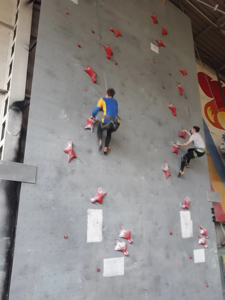 161702141 4164398026917898 367251565549404614 O