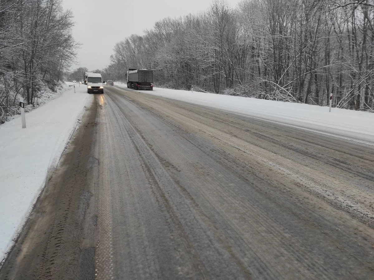 Photo 2022 02 12 08 34 20 0 (1)