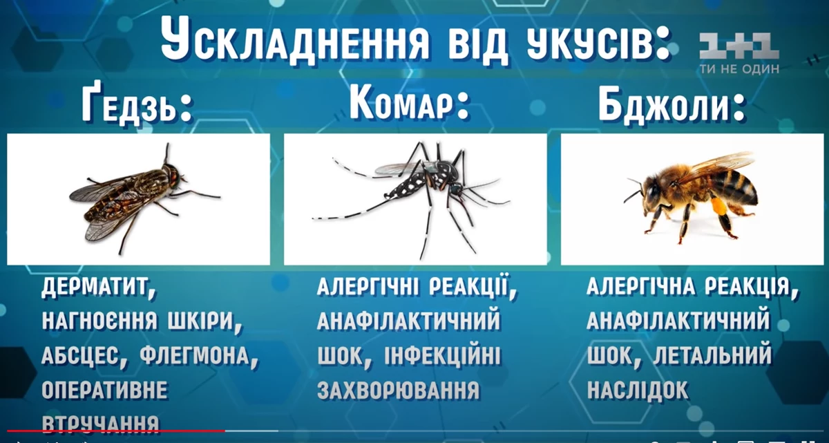 Ukusy Komakh2 0