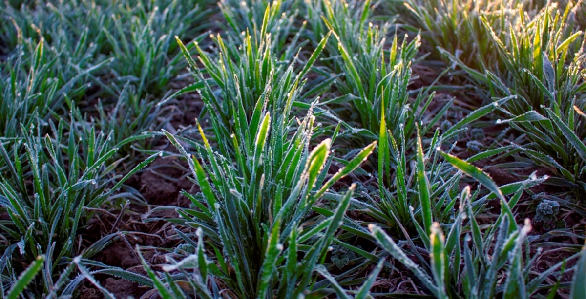 Depositphotos 355564350 Xl 57747