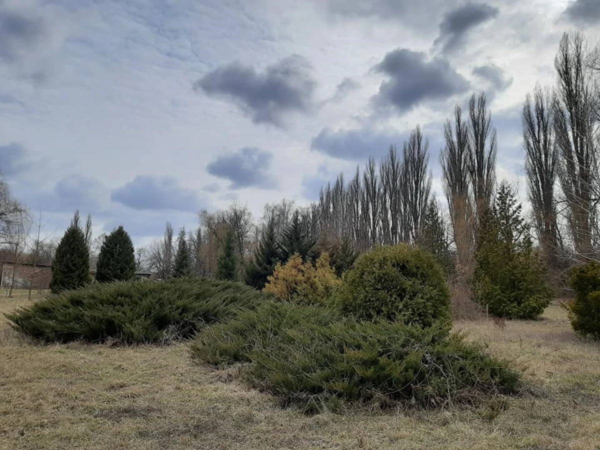 19.03.21 1