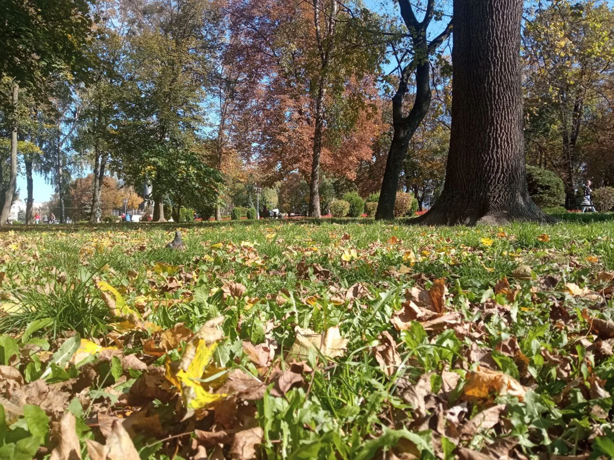 Photo 2022 10 07 12 59 36