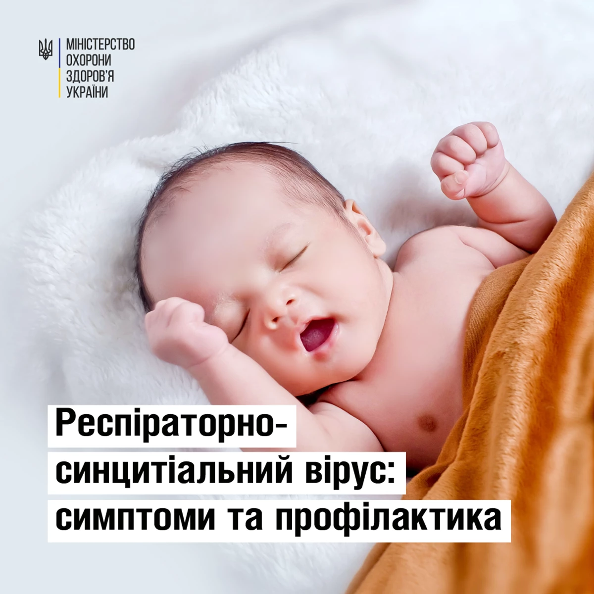 Moz Respiratorno Sincitialniy Virus 01