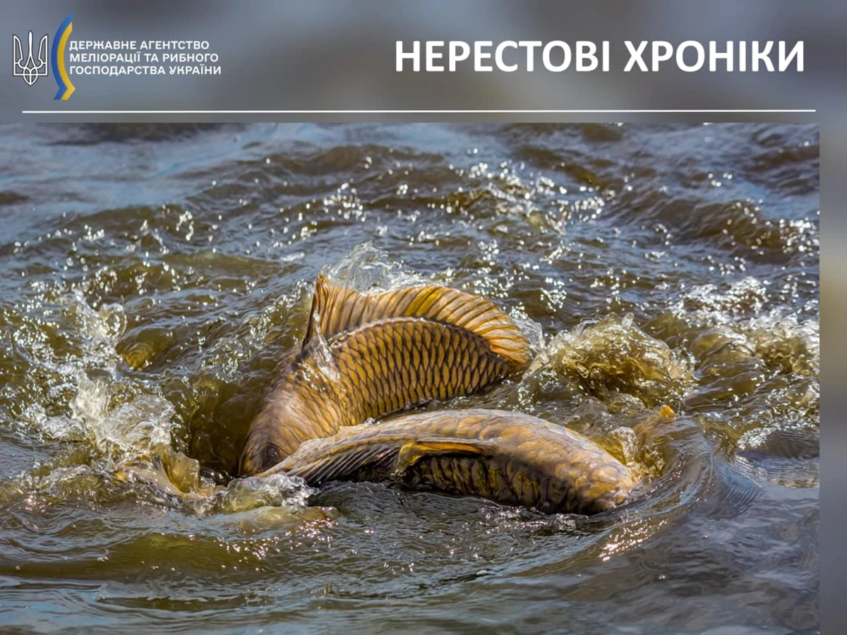 281989133 312293994419557 4155926619212892099 N