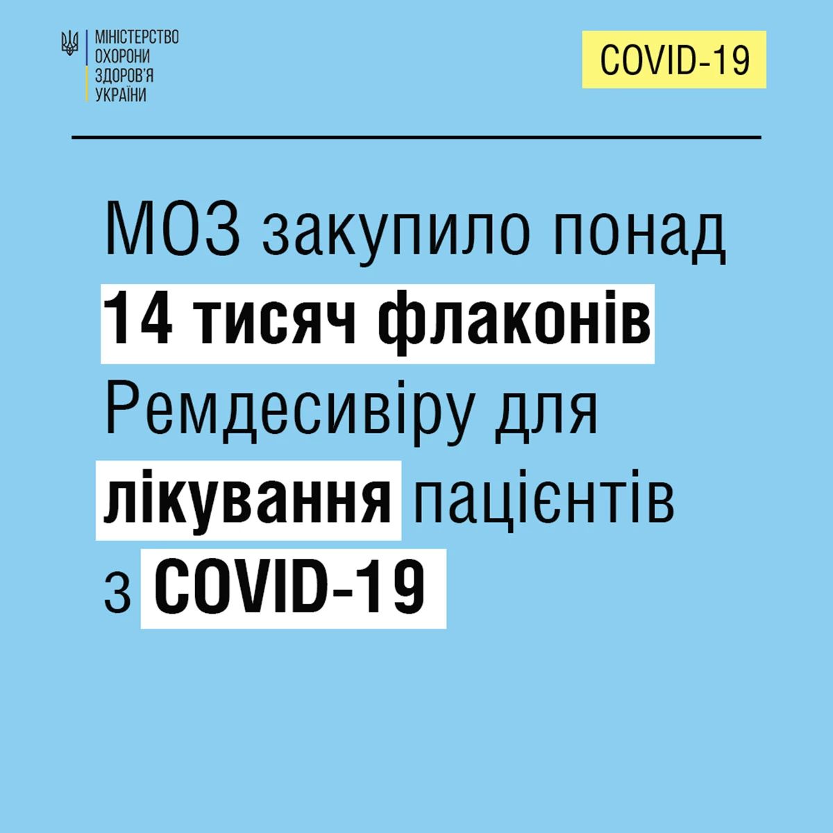 241172807 1937411513088611 4103590606456305414 N