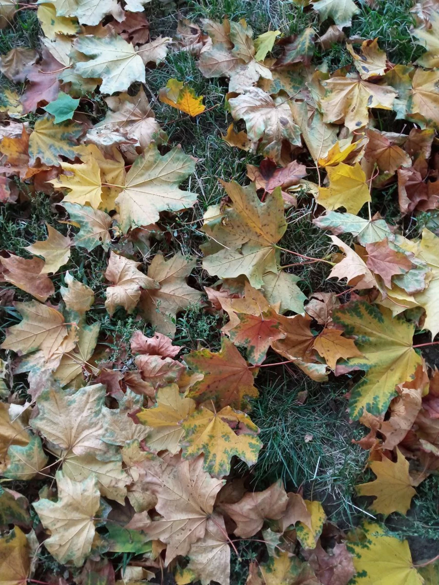 Photo 2022 11 10 16 41 08