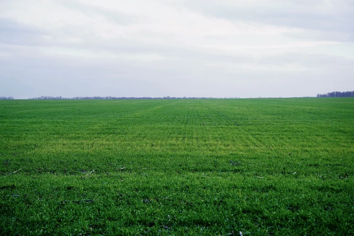 Photo 2022 11 18 16 54 45