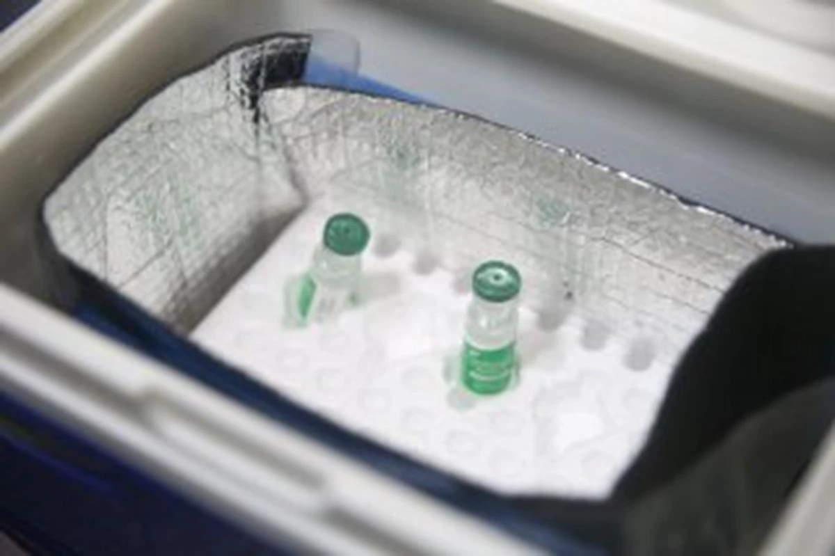 86E8eebf 3C78 4C63 876B 2854Be8b2593