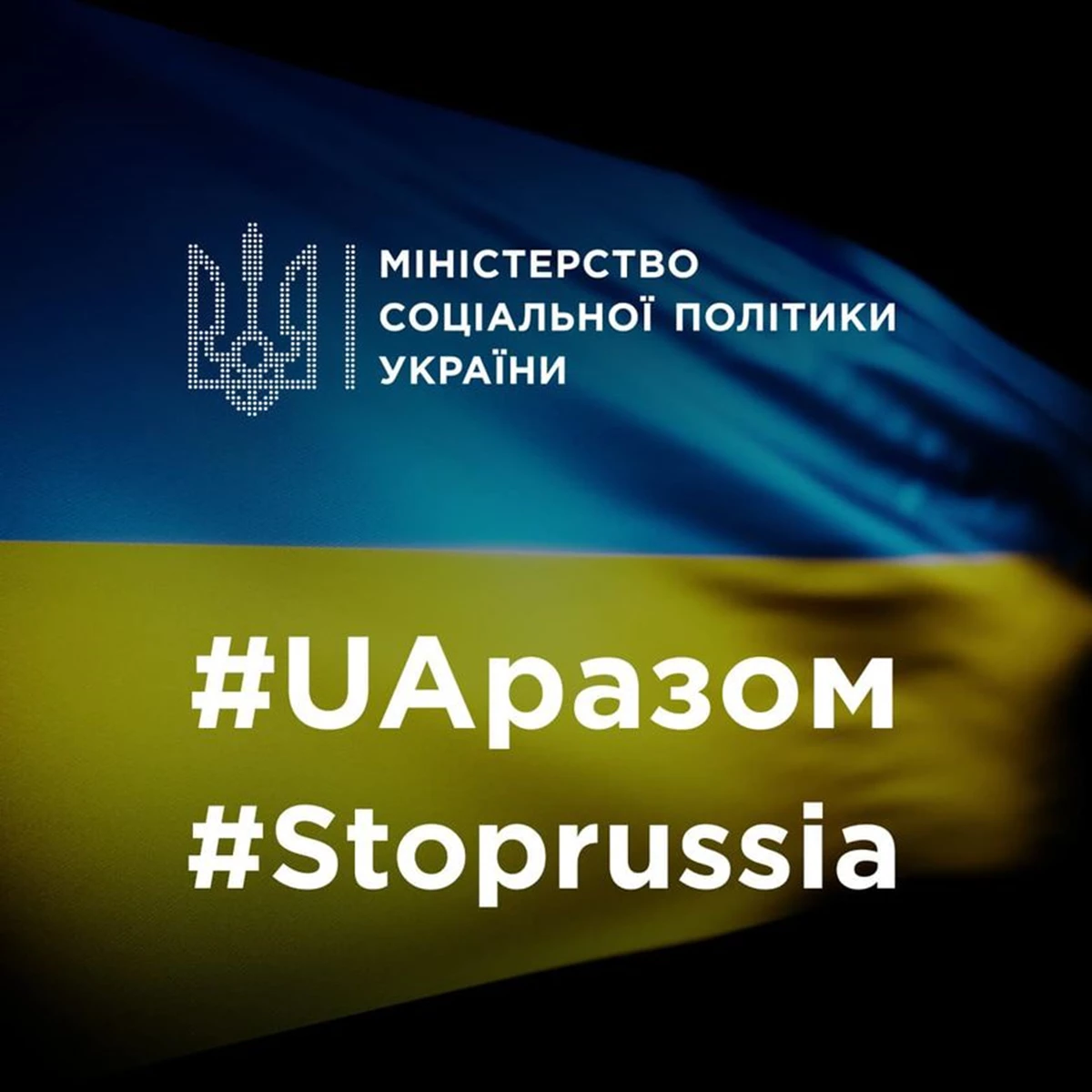 279339728 365093852323289 2469429325592611323 N