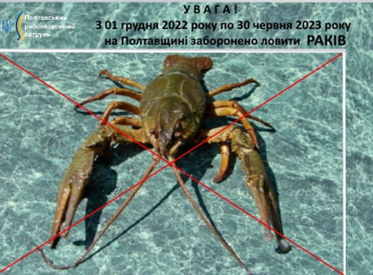 11 30 Zabrak