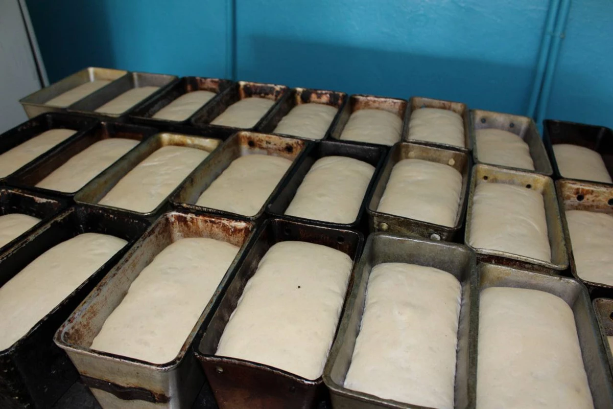 Photo 2022 03 22 13 59 40 (1)