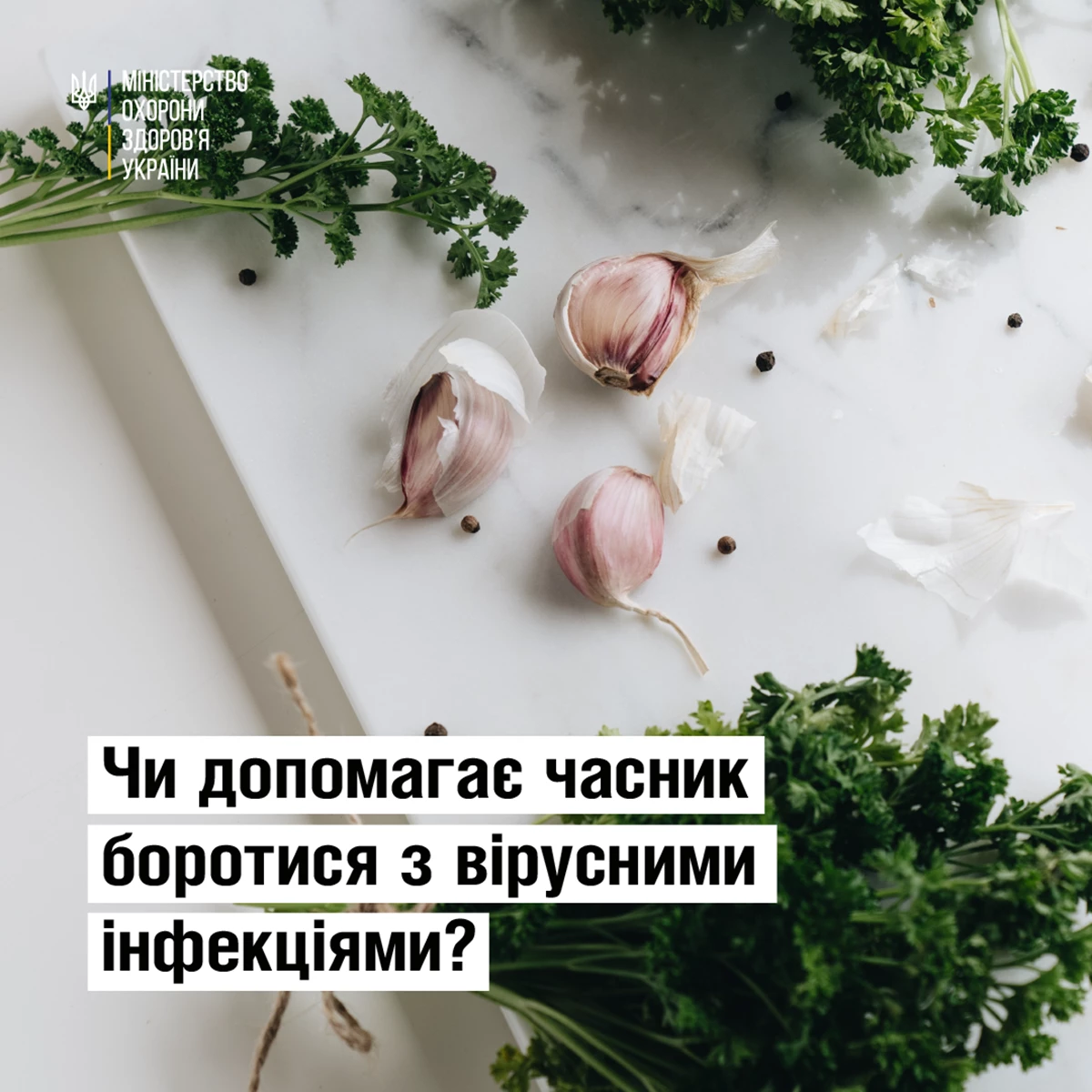 Moz Chasnik