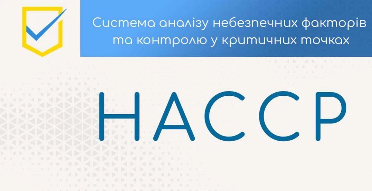 Branding For Social Media Page 0001