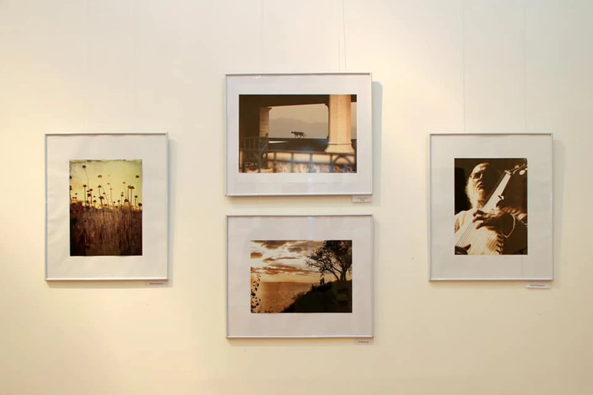 201458934 344612407046516 7628930211431648985 N