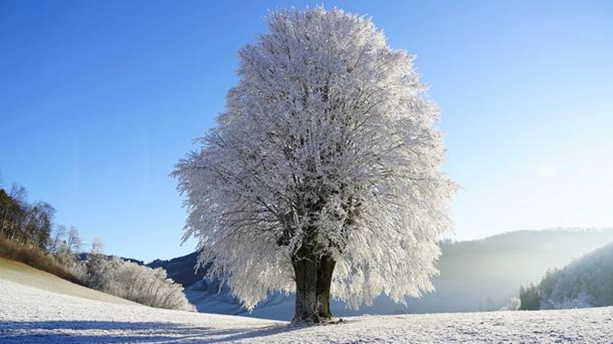 64 Main New.1484836059