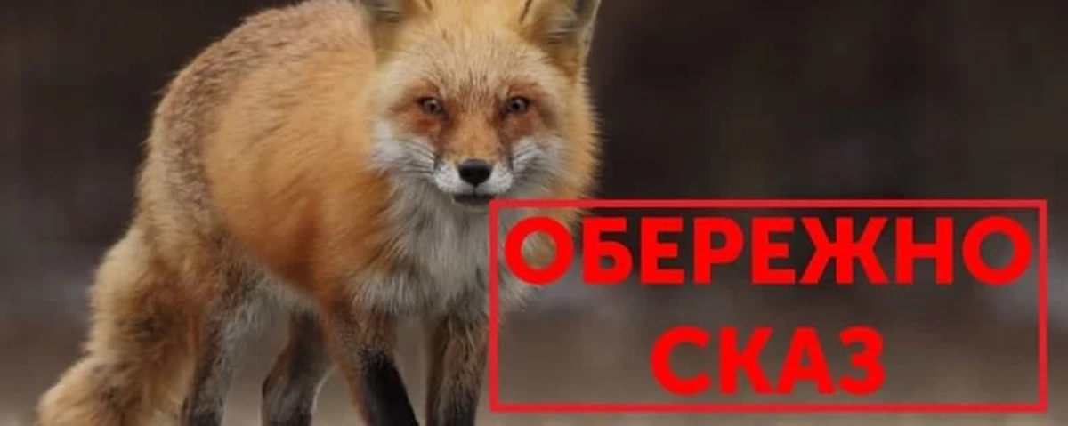 Photo 2021 08 18 16 30 34 Skaz 2