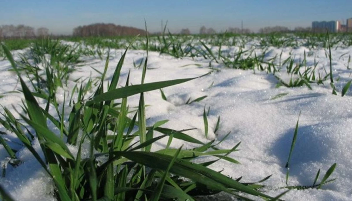 630 360 1551719396 383