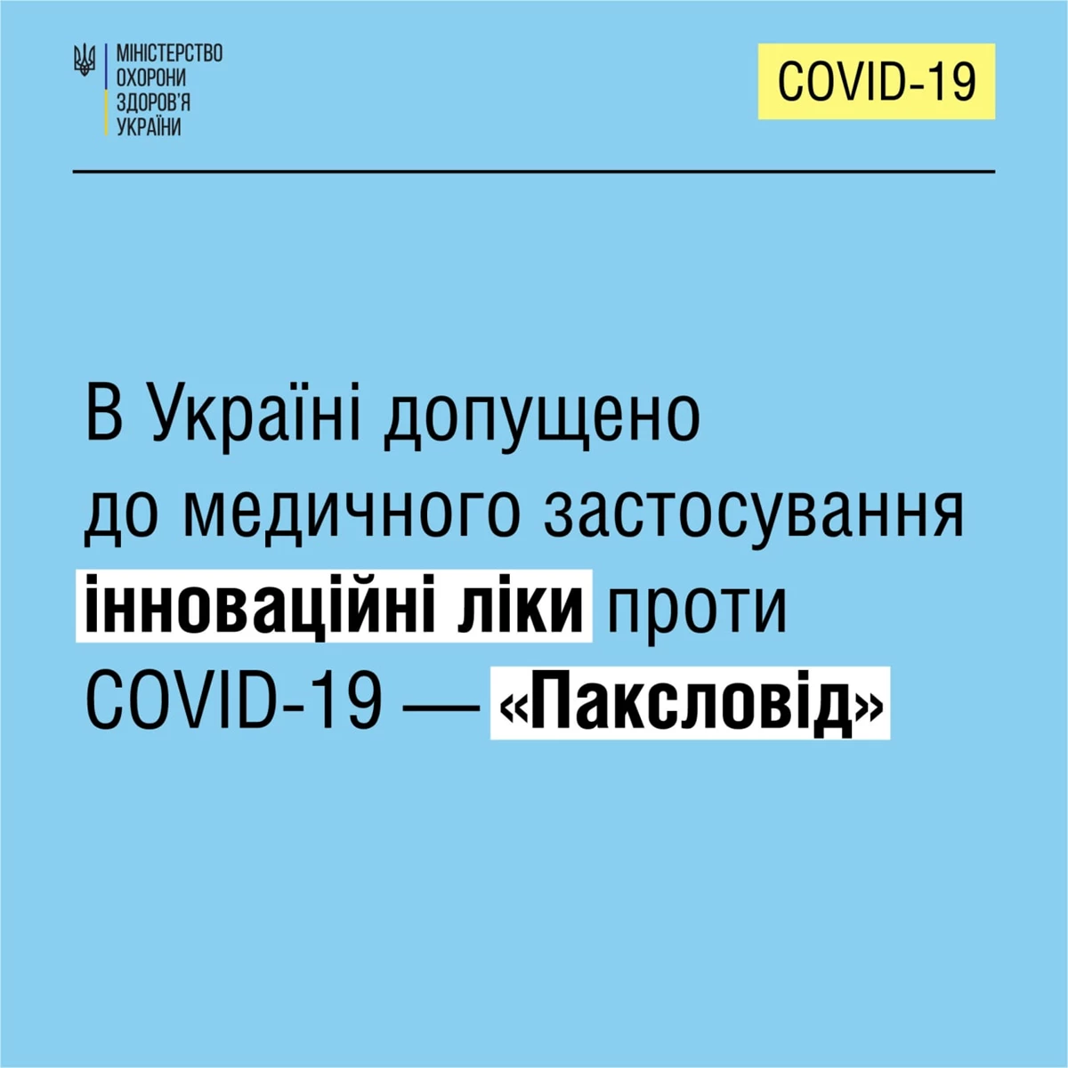 274295134 317472653740291 5949797786335641810 N