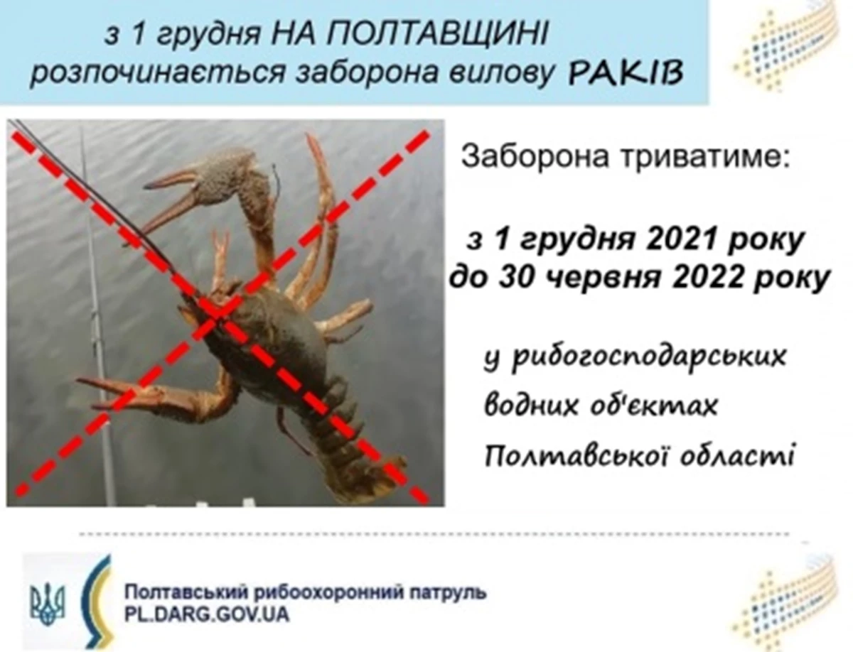 26.11.21 1
