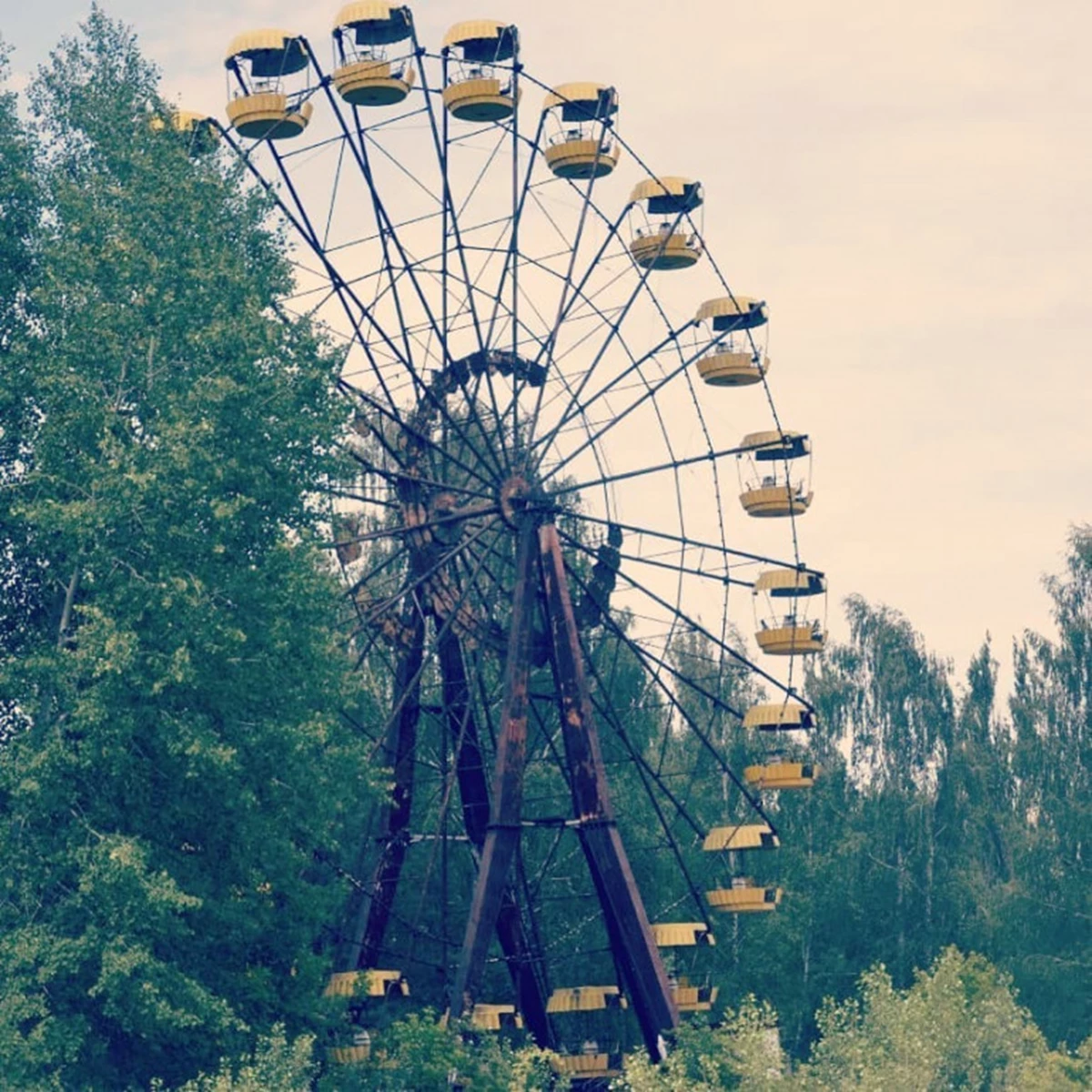 Mi91y1618840641ihgqh