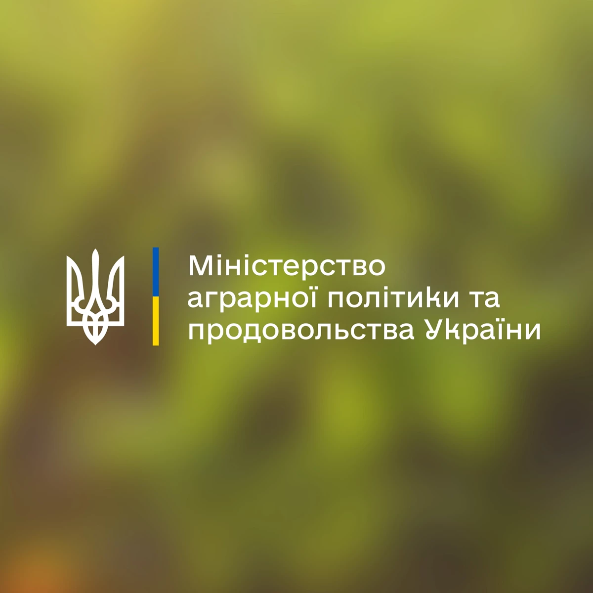Minapk 0 (1)